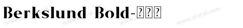 Berkslund Bold字体转换